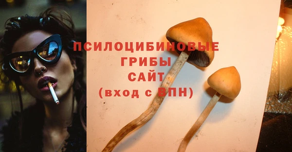 MDMA Богородск
