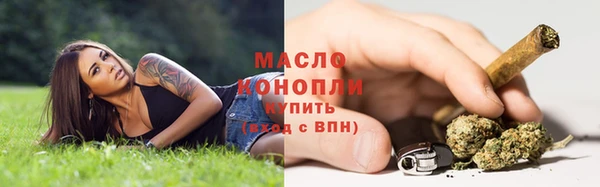 твердый Богородицк