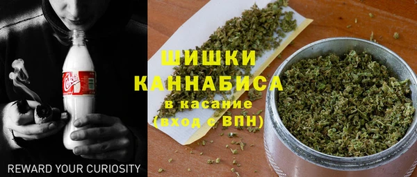 гидропоника Бородино