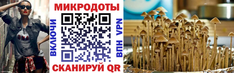 Купить где  Черногорск  Псилоцибиновые грибы Magic Shrooms 