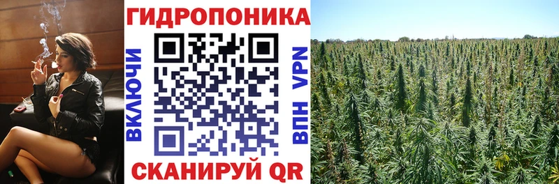 Купить  Черногорск  Бошки Шишки семена 